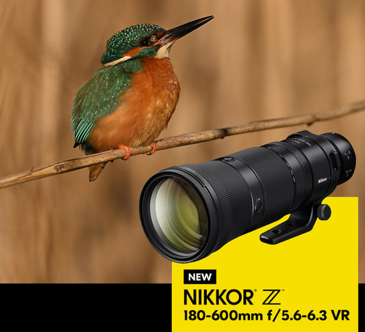 Nikon Nikkor Z 180-600mm f/5.6-6.3 VR Telephoto Lens