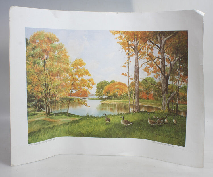 FLORIAN K. LAWTON 20X28 PRINT OF BEAUTIFUL FALL SCENE W/ GEESE - HAND SIGNED