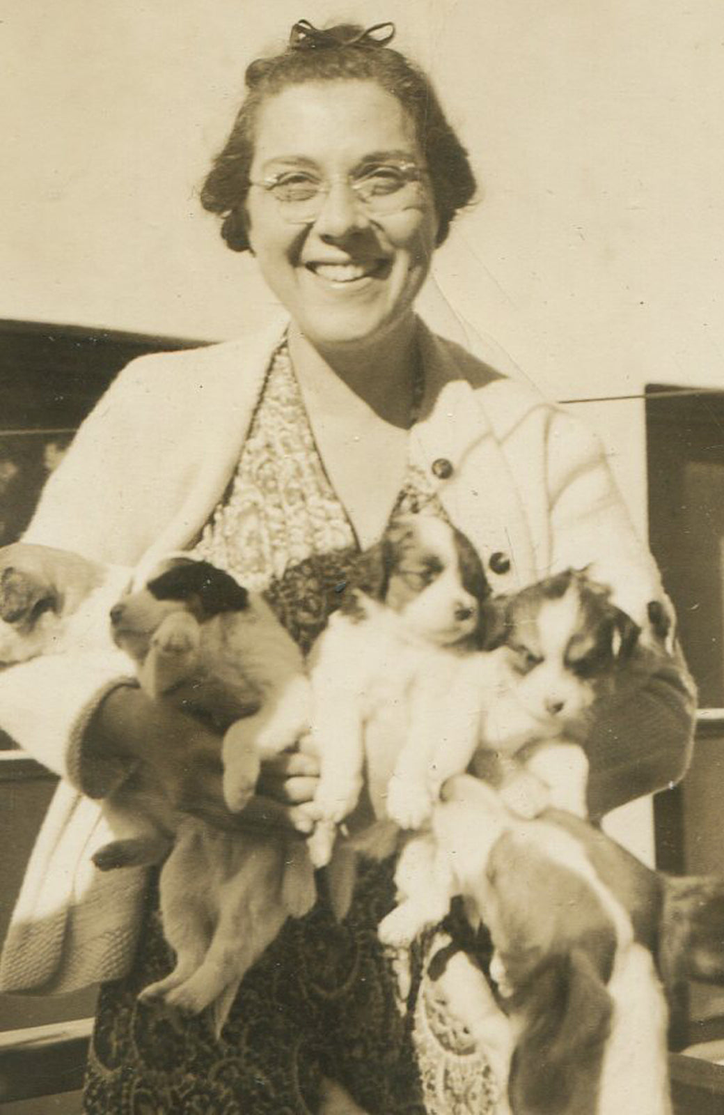 SMILING WOMAN HOLDING ARMFUL OF PUPPIES. PUPPIES, PUPPIES, PUPPIES. 1940s.