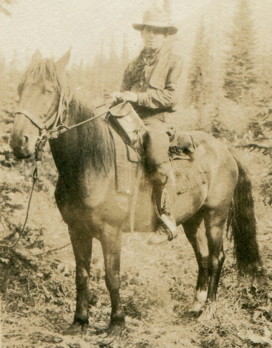 Vintage Cowboy on Horseback Silver Print Photo 3.25x2.25 in Circa 1920