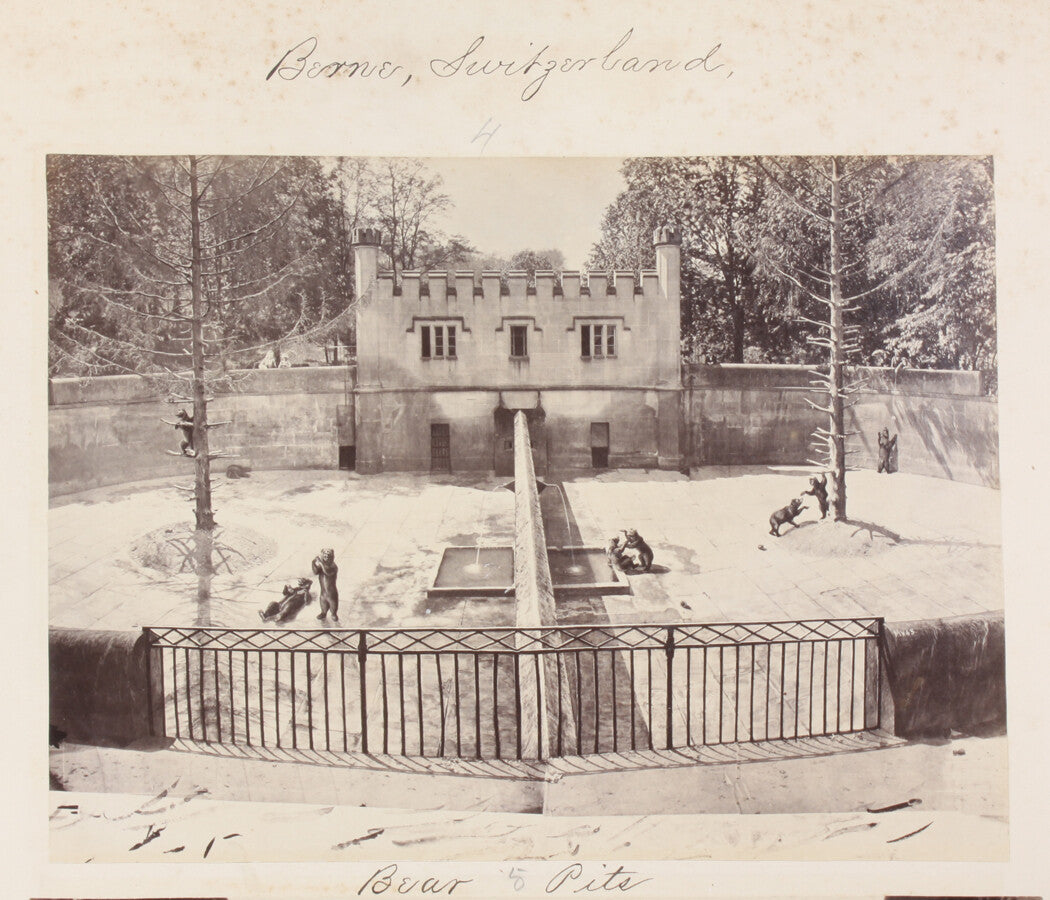 BEAR PITS, BERN, SWITZERLAND. 8x10 reprint