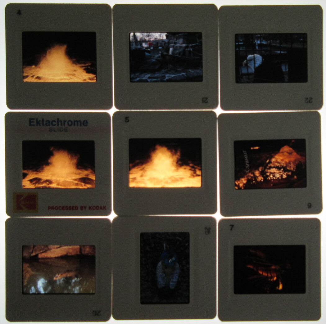 VOLCANO/NATURE KODACHROME SLIDES. 15 SLIDES. 1980s.