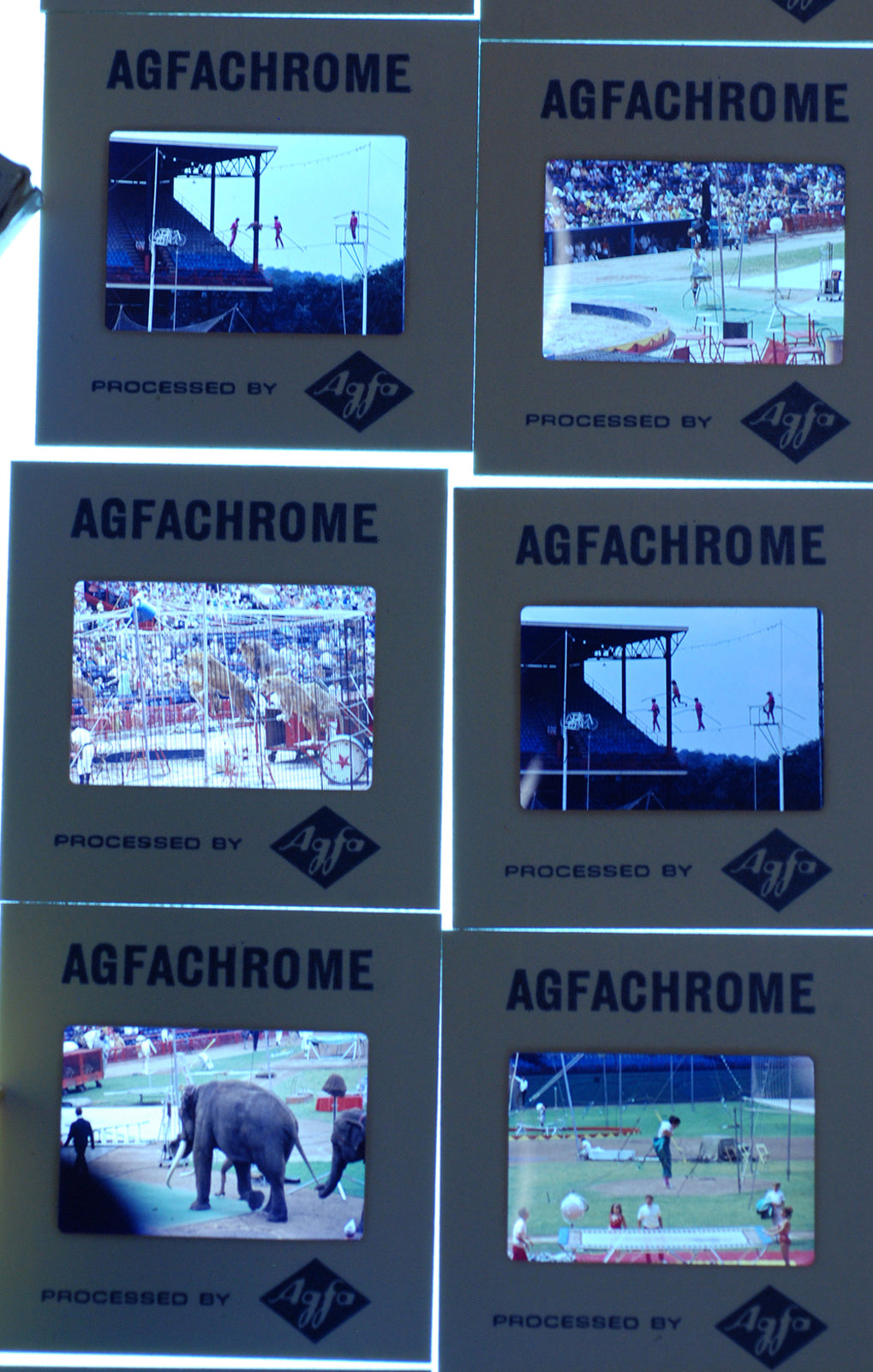 Vintage Kodachrome transparency photograph, Circus Travel, Agfachrome, 60-slide set, 1960s