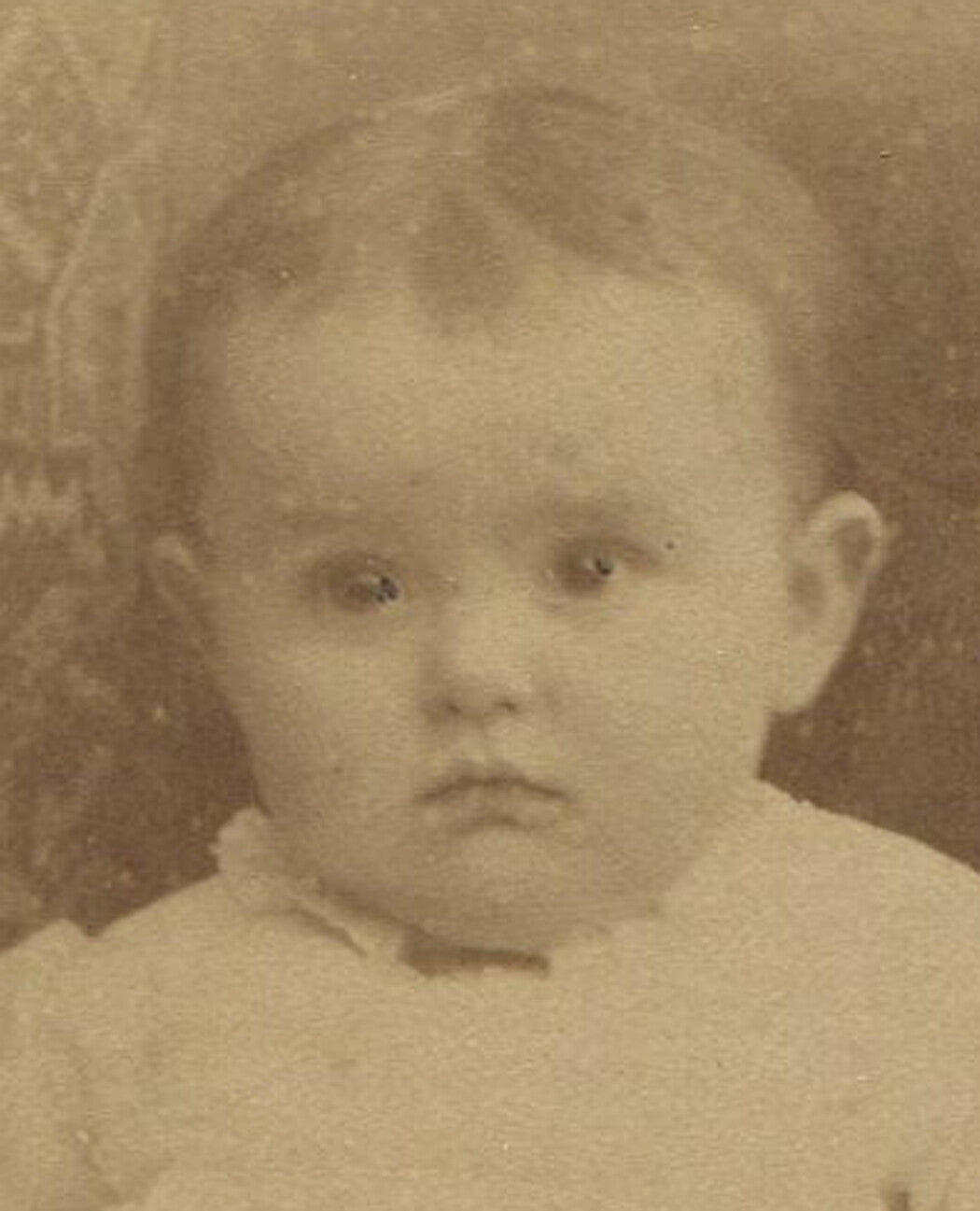 Vintage Baby Thinking About a Puppy Cabinet Card Falls of Schuylkill PA Original Photo
