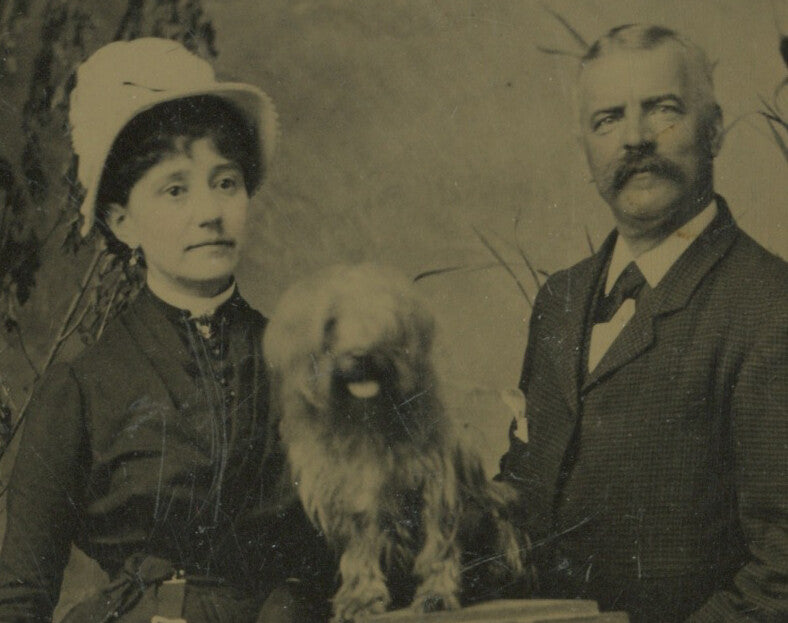 DOG, 1/6 PLATE TINTYPE
