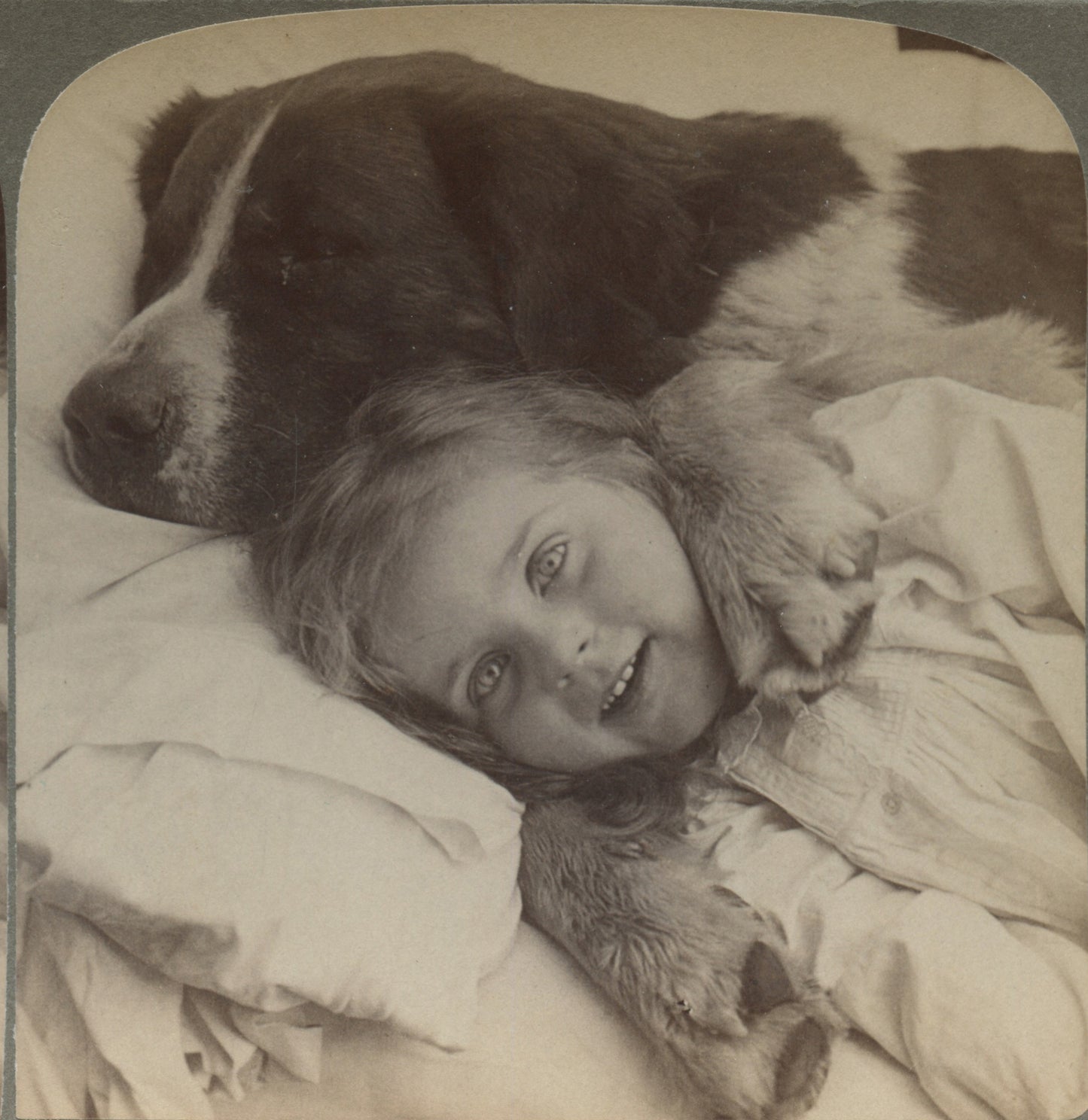 GIRL SMILING W/ FAMILY DOG, ST BERNARD, VINT PHOTO