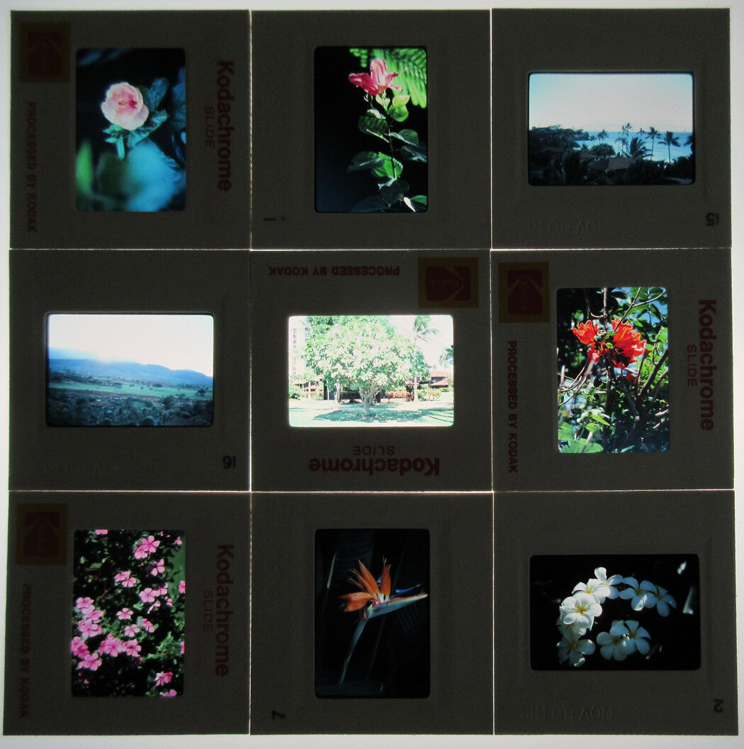 Vintage Hawaii 1980s Kodachrome Slides - 20+ Original Transparencies, Color Photos