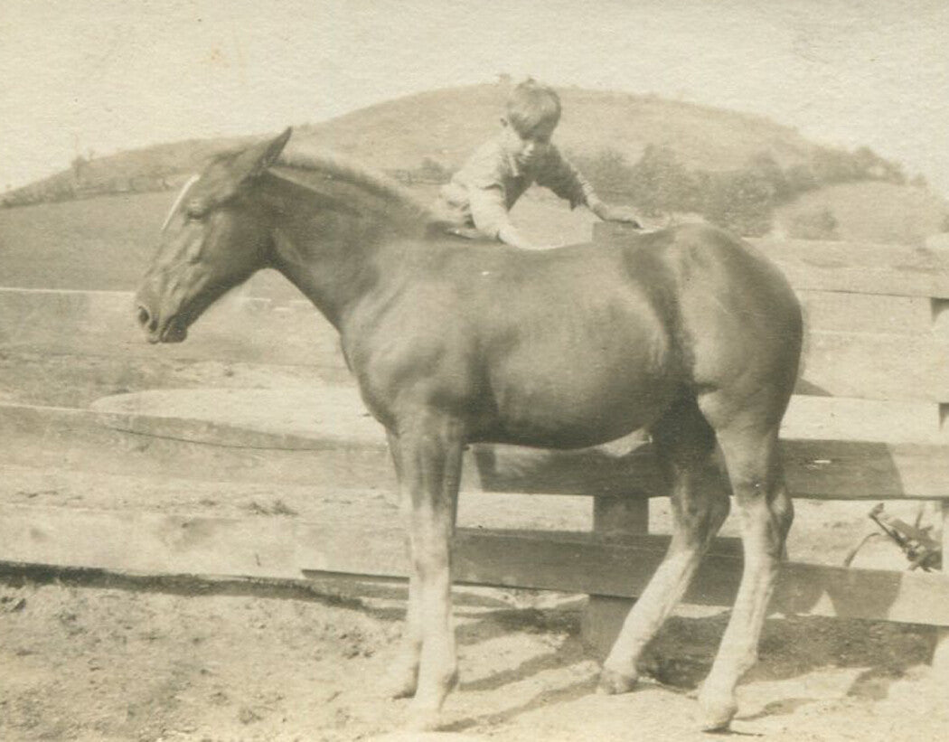 Vintage 1920s Family with Their Horses - 3-Photo Black & White Set, Vintage Photograph, Wall Decor