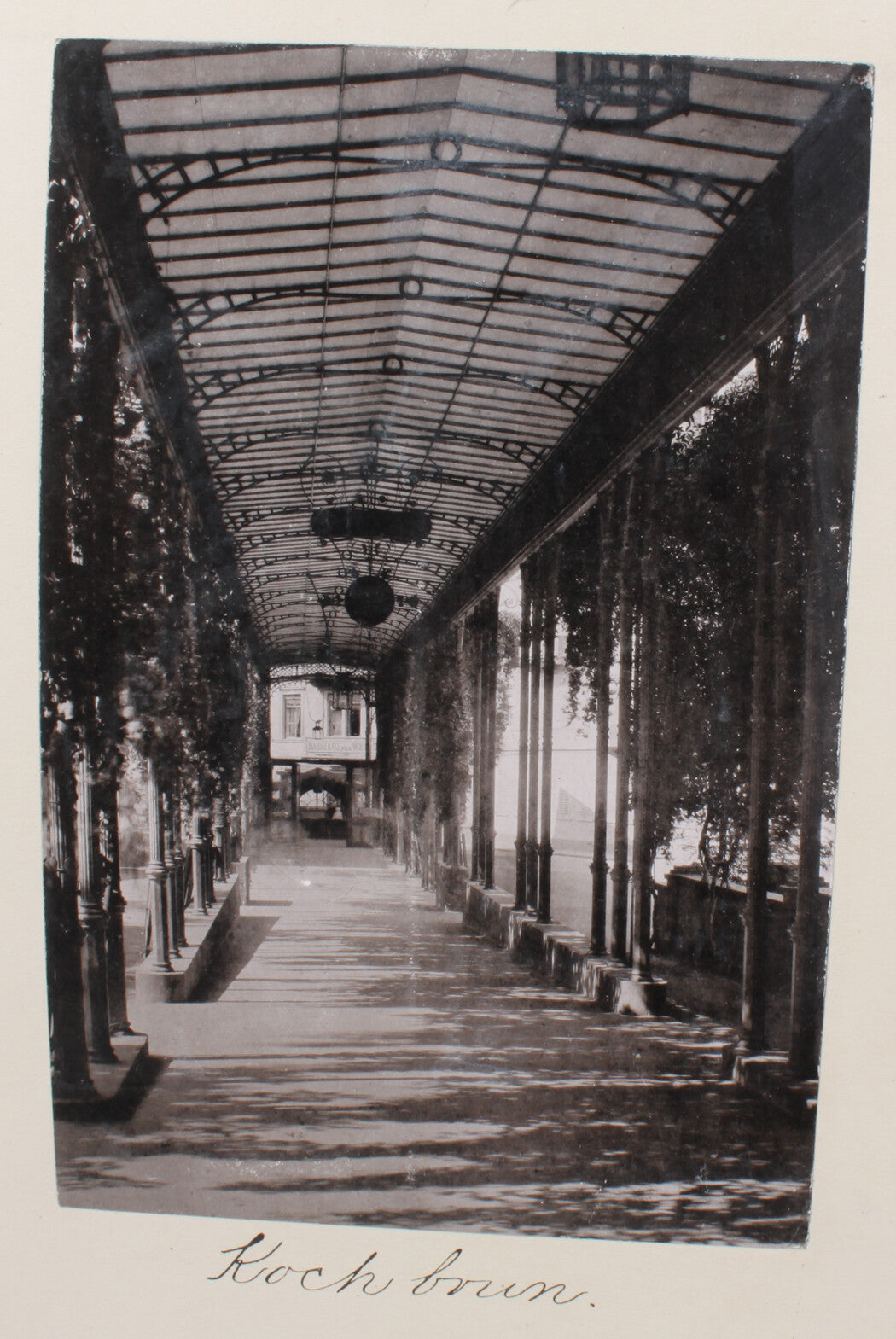 Vintage Kochbrunnen Wiesbaden Germany 8x10 Photo Reprint - Image-Only Wall Art