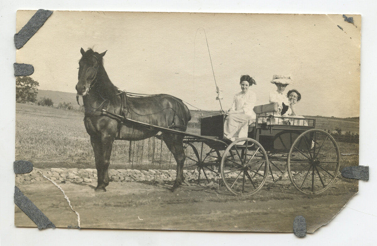 3 LADIES OUT FOR FUN SUNDAY DRIVE HORSE WAGON 1920s PHOTO
