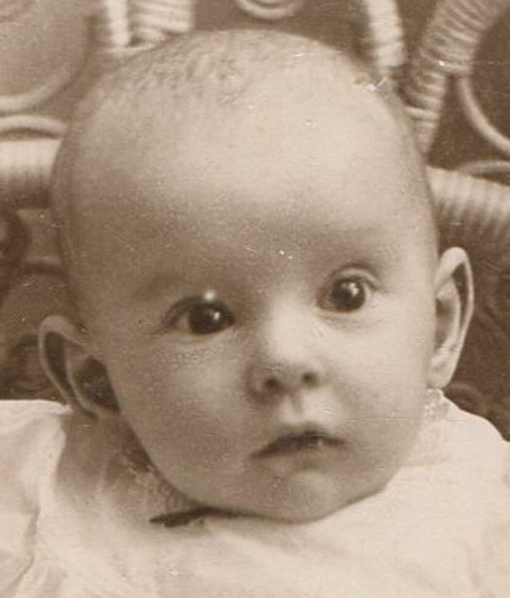 YOUNG CHILD, PERFECTLY CUTE. CABINET CARD. ALBANY, N.Y.