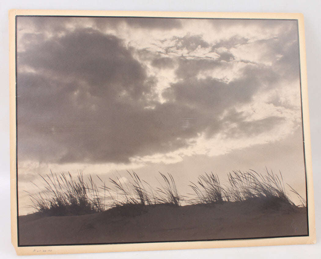 Beach Grass Against a Heavy Sky 15x19 Silver Print Mounted on 16x20 Board