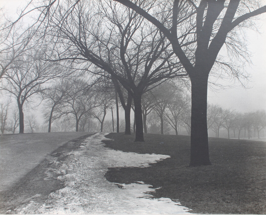 ARCHITECTURE VIEW STEEPLE BUILDINGS. 14 X 17 INCH TONED SILVER PRINT.