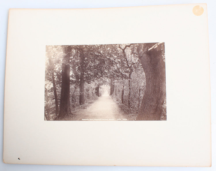 ALBUMEN PHOTO OF BEAUTIFUL ADDISONS WALK - OXFORD, ENGLAND