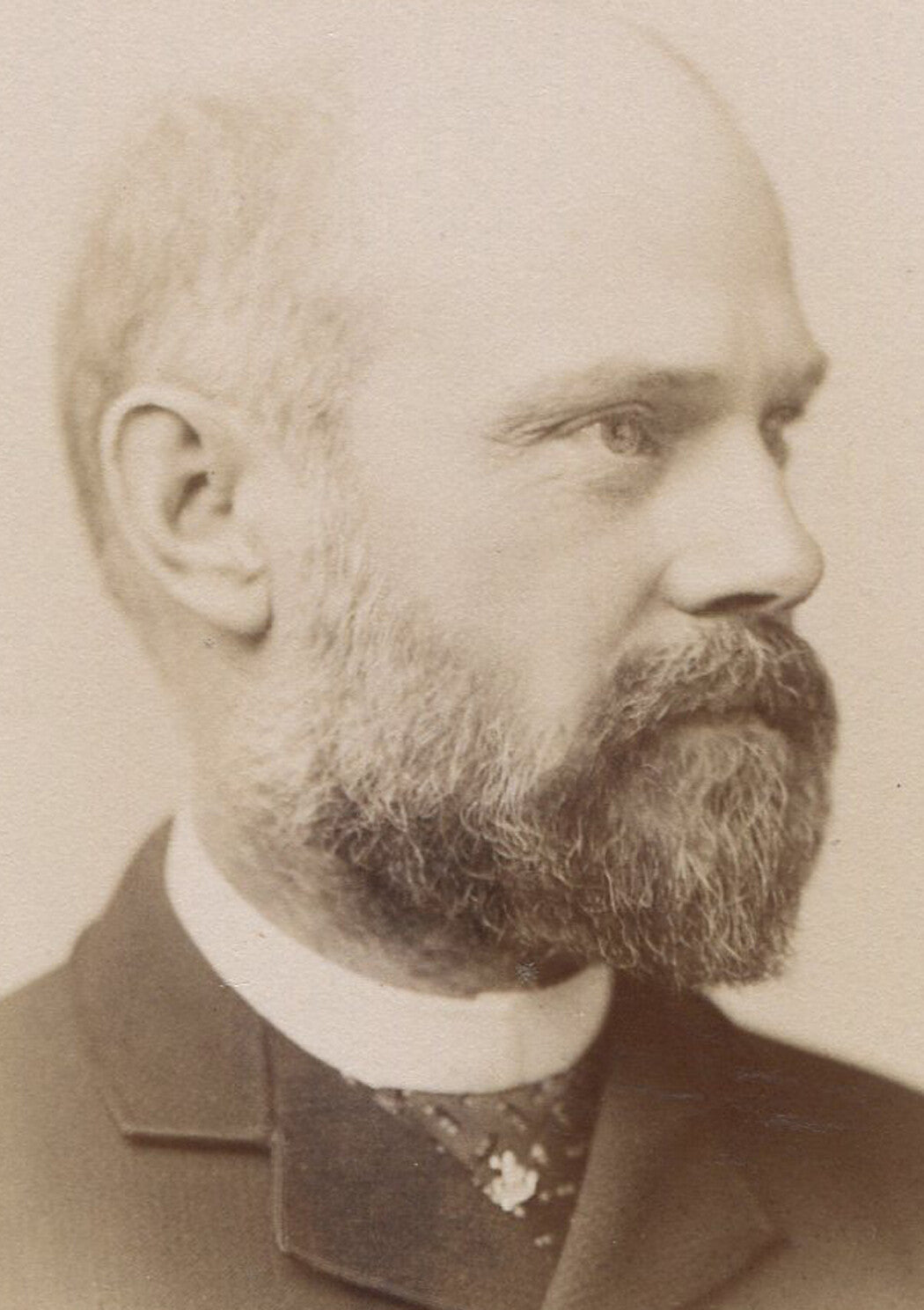 Vintage Cabinet Card Portrait: Balding Man with Neat Beard, Chicago IL Photo 4x6