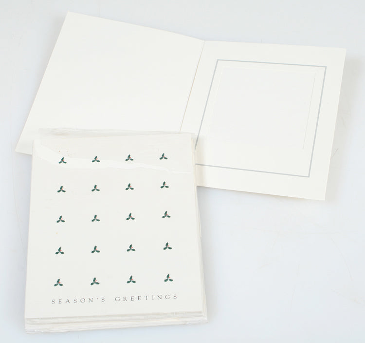 POLAROID X-MASS PHOTO MOUNT CARDS W/ENVELOPES,10 IN PACK