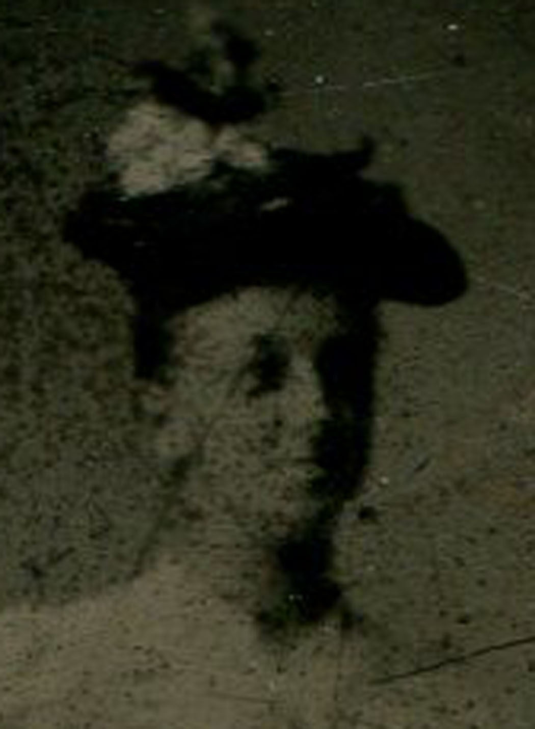 AFRICAN AMERICAN WOMAN WEARING HAT STANDING AT GATE. PAINTER BACKGROUND,TINTYPE.