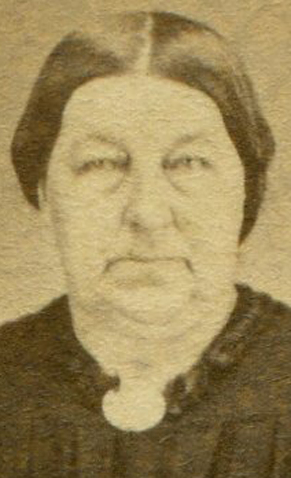 LARGE WOMAN. PAINTED BACKGROUND. CDV. FARMINGTON, ILL.