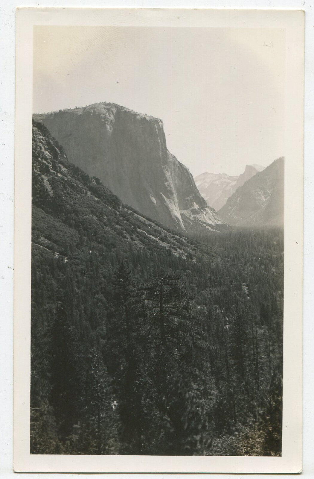 YOSEMITE EL CAPITAN. VINTAGE B W PRINT. 1940-50.