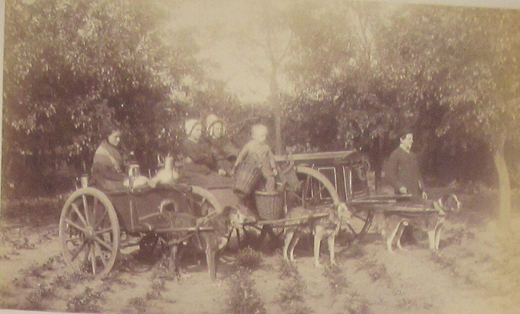Vintage albumen photo: Dog-drawn carts on European canal scenes; mounted 10x16 card, two views