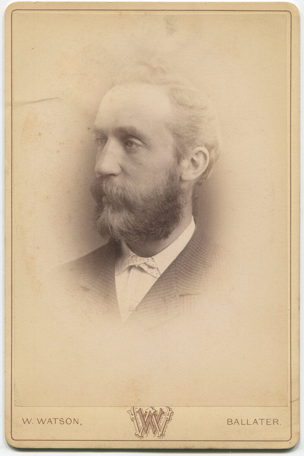 Vintage Cabinet Card Portrait - Man with Blow-Back Hair & Beard, Historical Photo, Collectible Wall Art