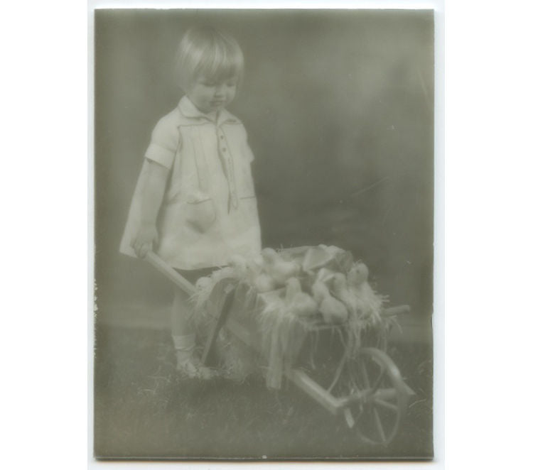 PICTORIALISM MILK GLASS. LITTLE GIRL WITH BABY CHICKS IN WHEELBARROW. OPALTYPE.