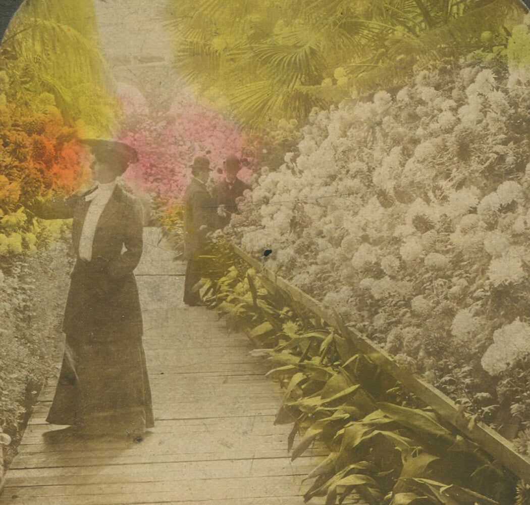 WOMAN IN HAT ENJOYING GARDENS. TINTED STEREOVIEW.