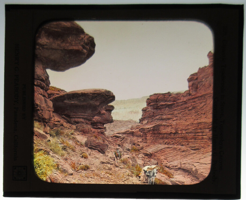 Toadstools, Topocobya Canyon. PHOTO ON GLASS, HAND COLORED.