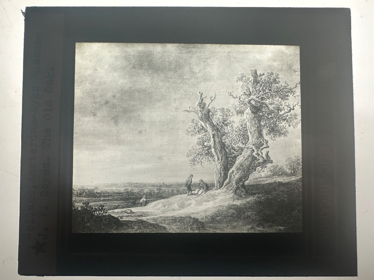 19th Century Lantern Slide of 17th Century Dutch Painter Goyen's "The Old Oak"