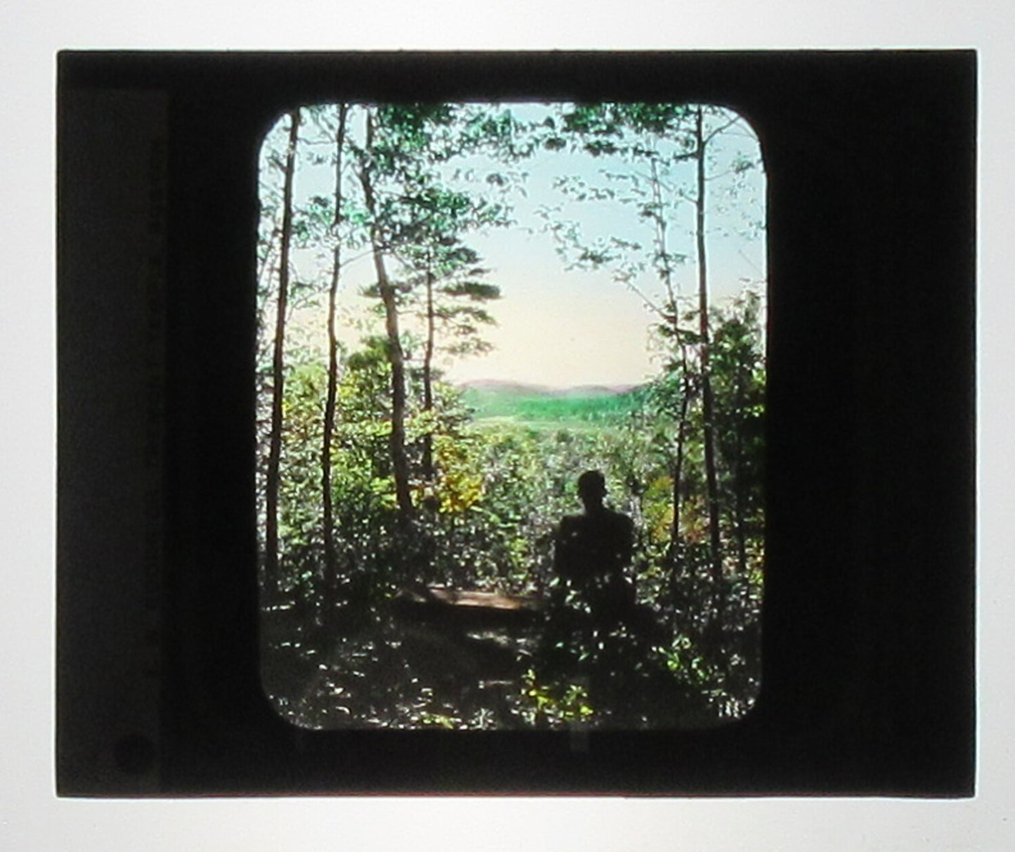 WOODLAND SCENE. HAND COLORED PHOTO ON GLASS.
