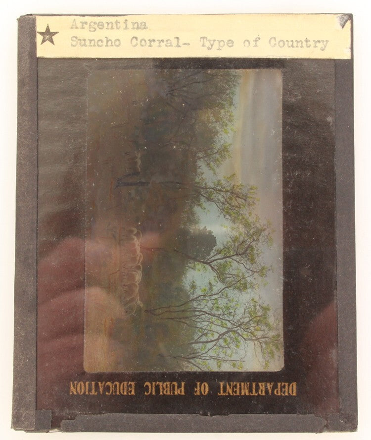 COLOR PHOTO ON GLASS OF SHEEP HERD - SUNCHO CORRAL, ARGENTINA