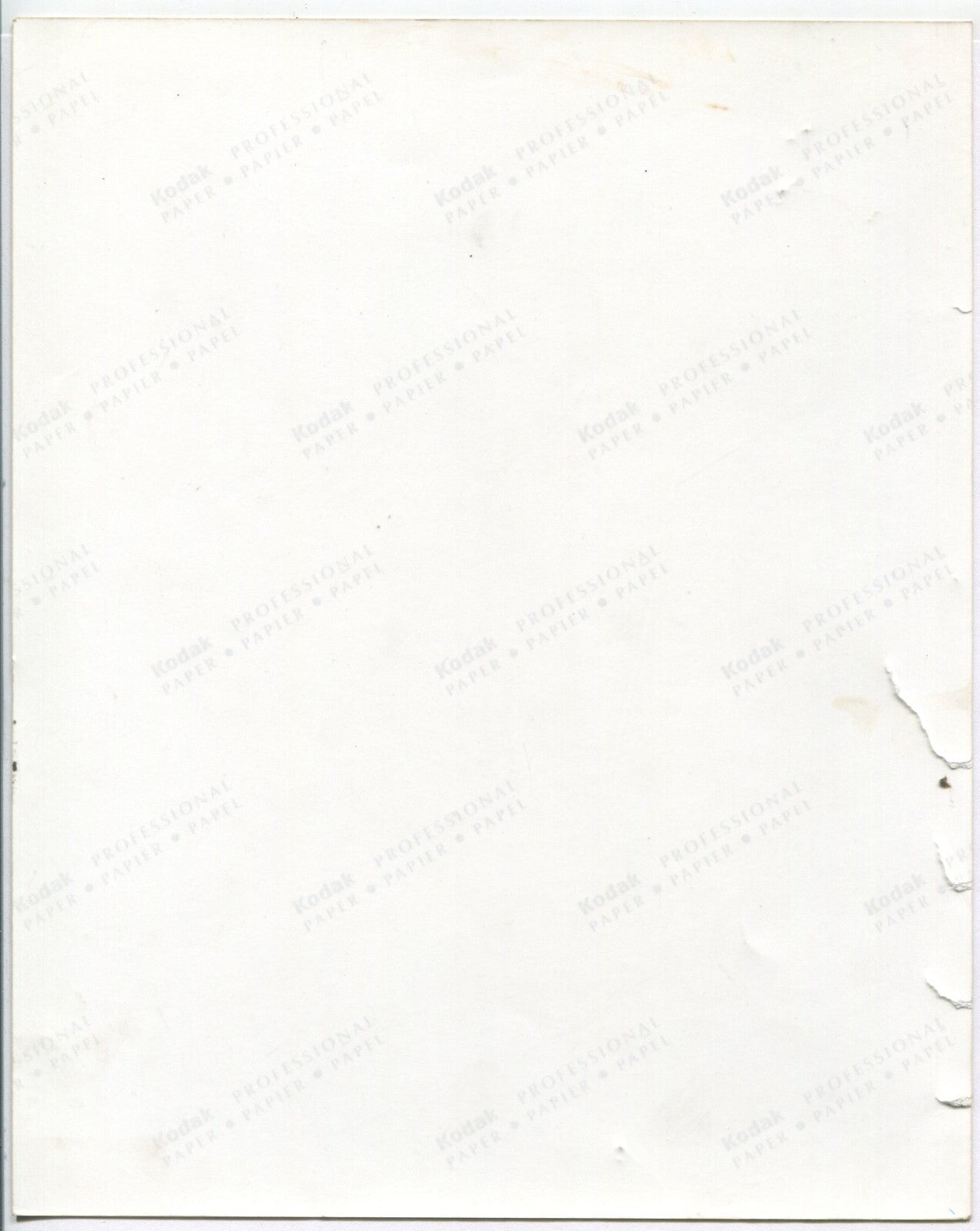 Vintage Geronimo Posed with Rifle - 8x10 Toned B&W Photo Reproduction, Wear/Lower Left Tear