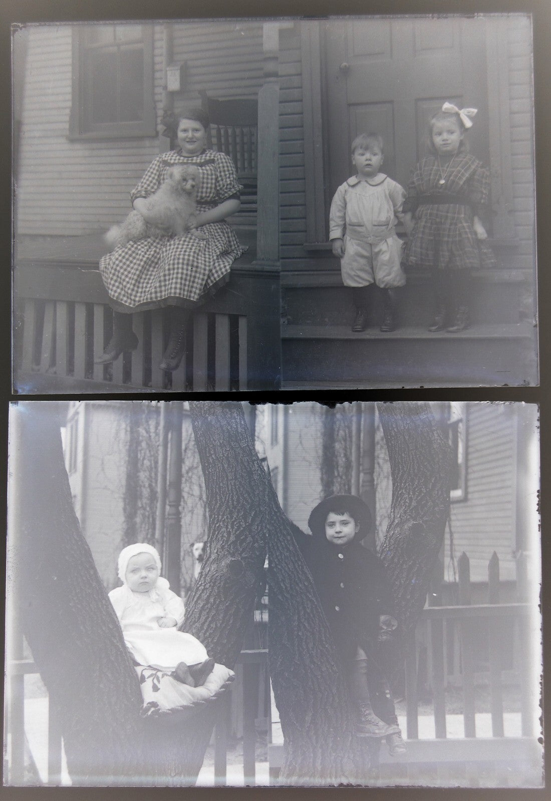 Vintage 5x7 Glass Negative: Children in Tree with Dog on Porch, Rare 2-Set