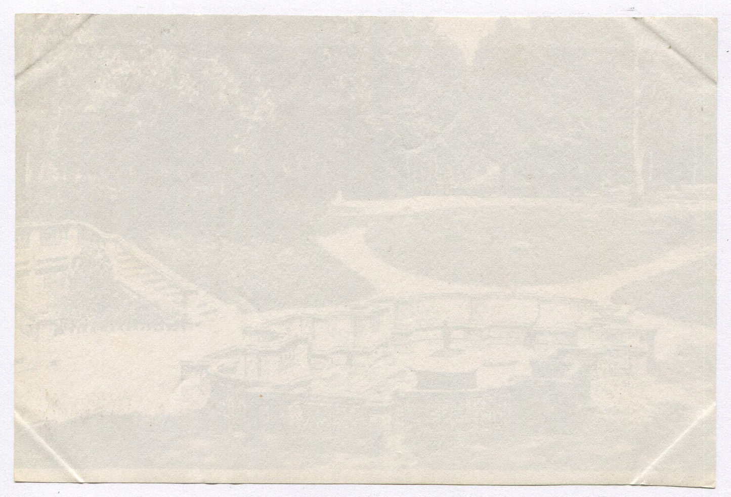 Vintage 4x6 Unmounted Albumen Photograph - Formal Garden, Early Photography,