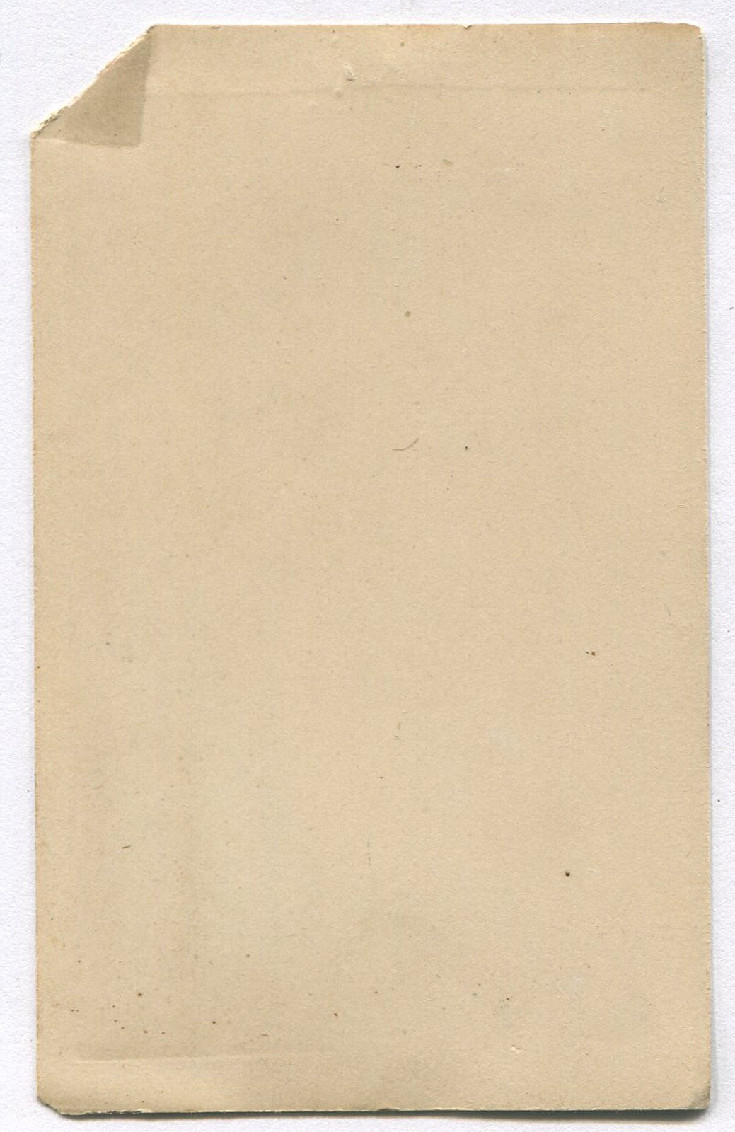 WOMAN IN BONNET, CROSSED HANDS, DEEP SET SAD EYES. CDV.