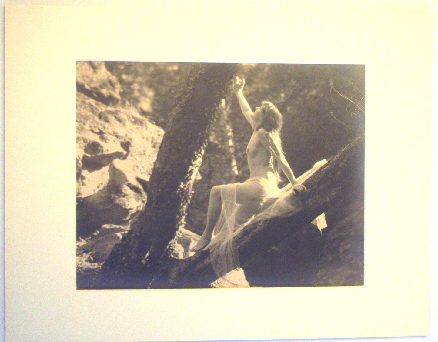 VINTAGE SEMI NUDE WOMAN IN TREE. 10X7 B&W IN 11X14 INCH ARCHIVAL MAT.