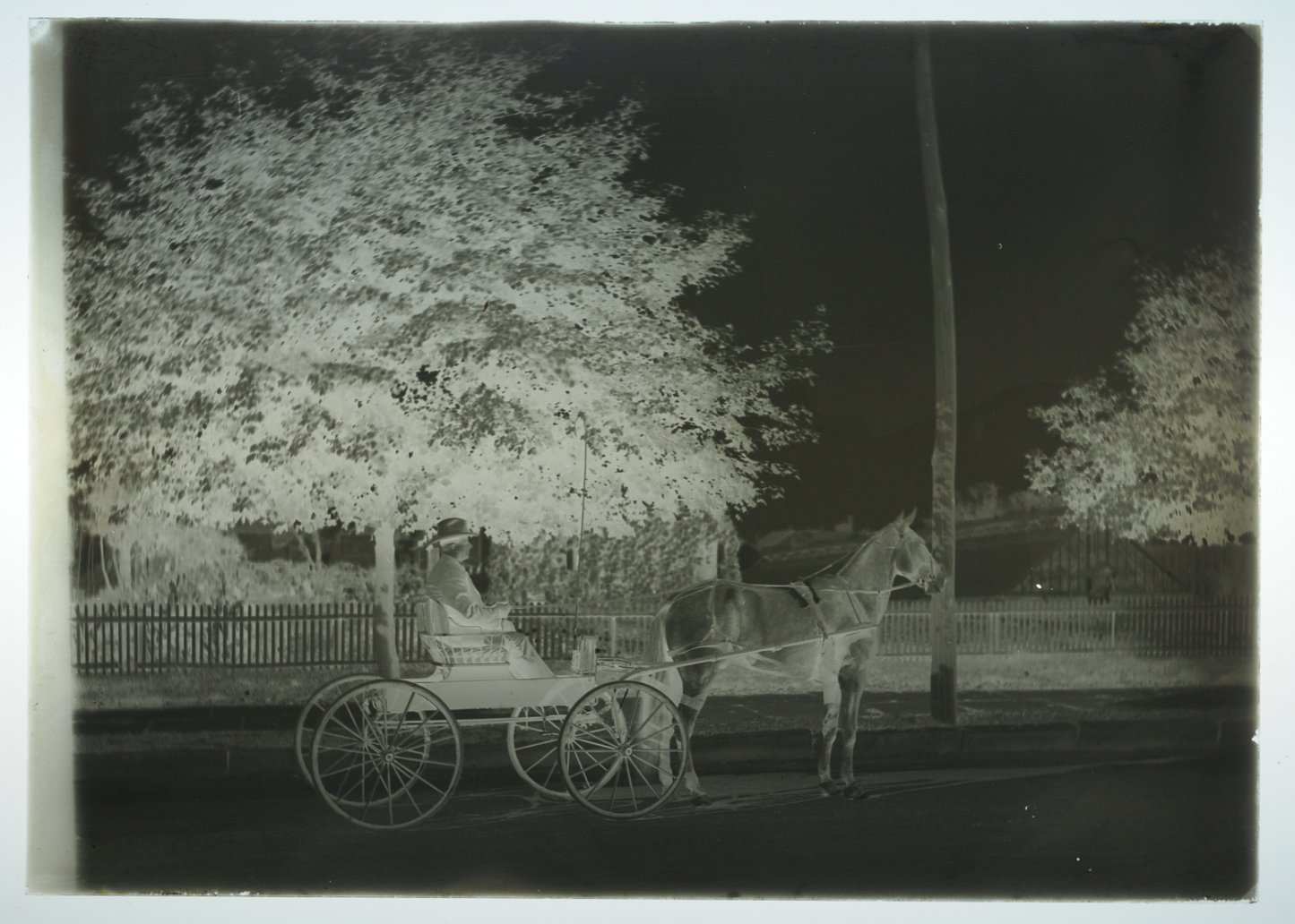 5x7 Glass Plate Negative 1920s Horse Drawn Carriage with Man Vintage Photo