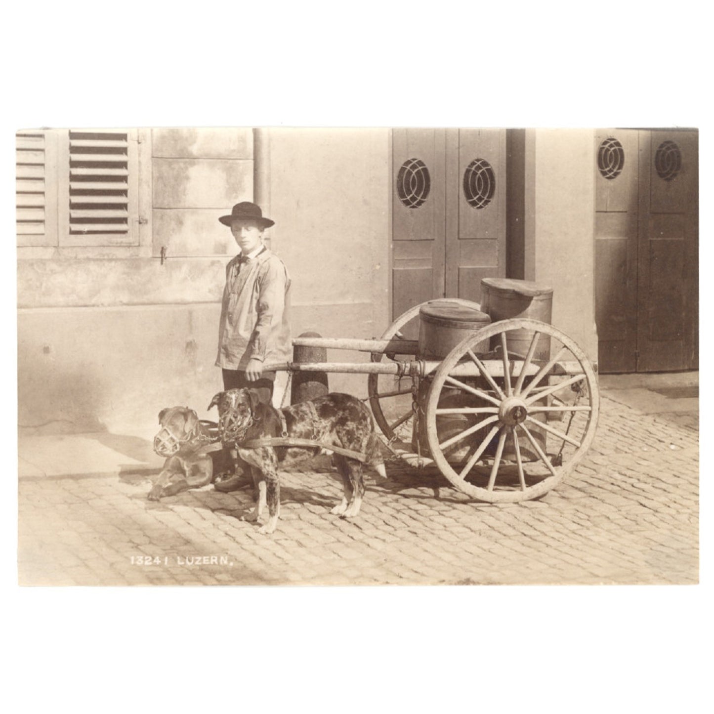 VINTAGE PHOTO - YOUNG MAN W (2) DOGS PULLING MILK CART LUZERNE SWITZERLAND