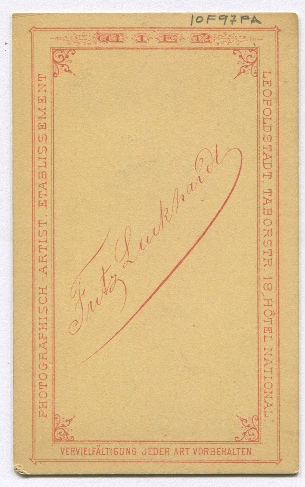 WOMAN, CLOSE UP PORTRAIT. RARE CDV.