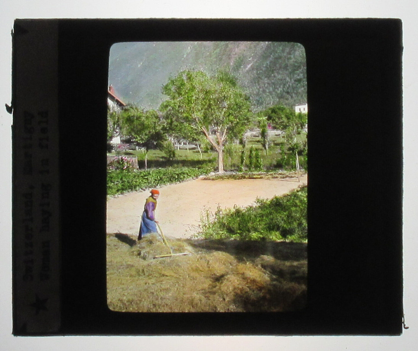 WOMAN IN HAYFIELD, SWITZERLAND. HAND COLORED PHOTO ON GLASS.TINTED LANTERN SLIDE