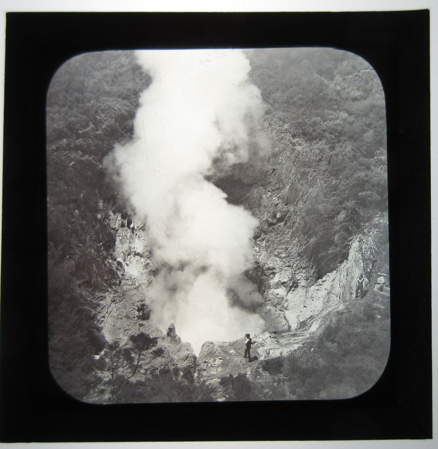 THE GREAT WAIRAKEI GEYSER, NEW ZEALAND. LANTERN SLIDE.