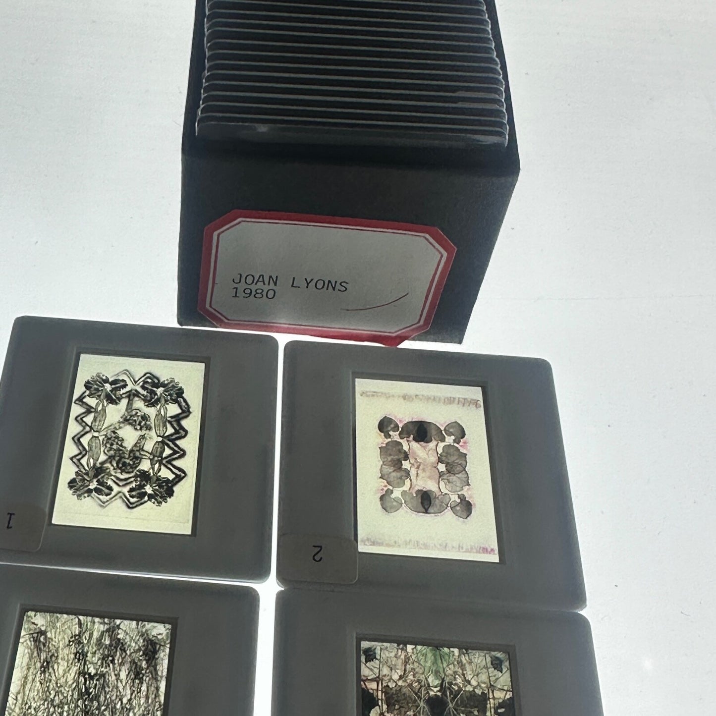 Professional Photography Lot of "Joan Lyons" 1980 35mm Slides (x25)