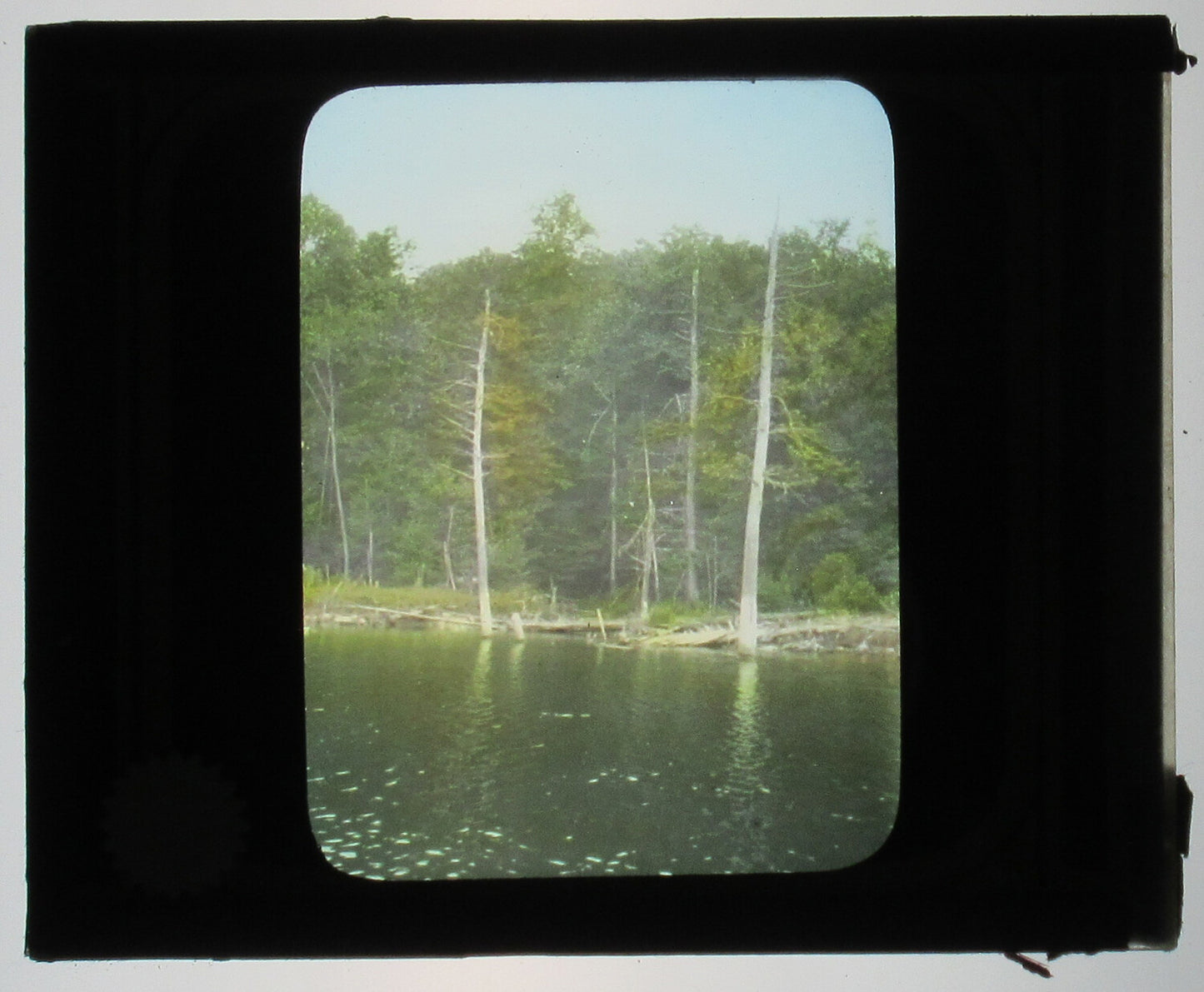 WOODLAND AT RIVER'S EDGE. SULLIVAN COUNTY, PA.TINTED PHOTO ON GLASS.