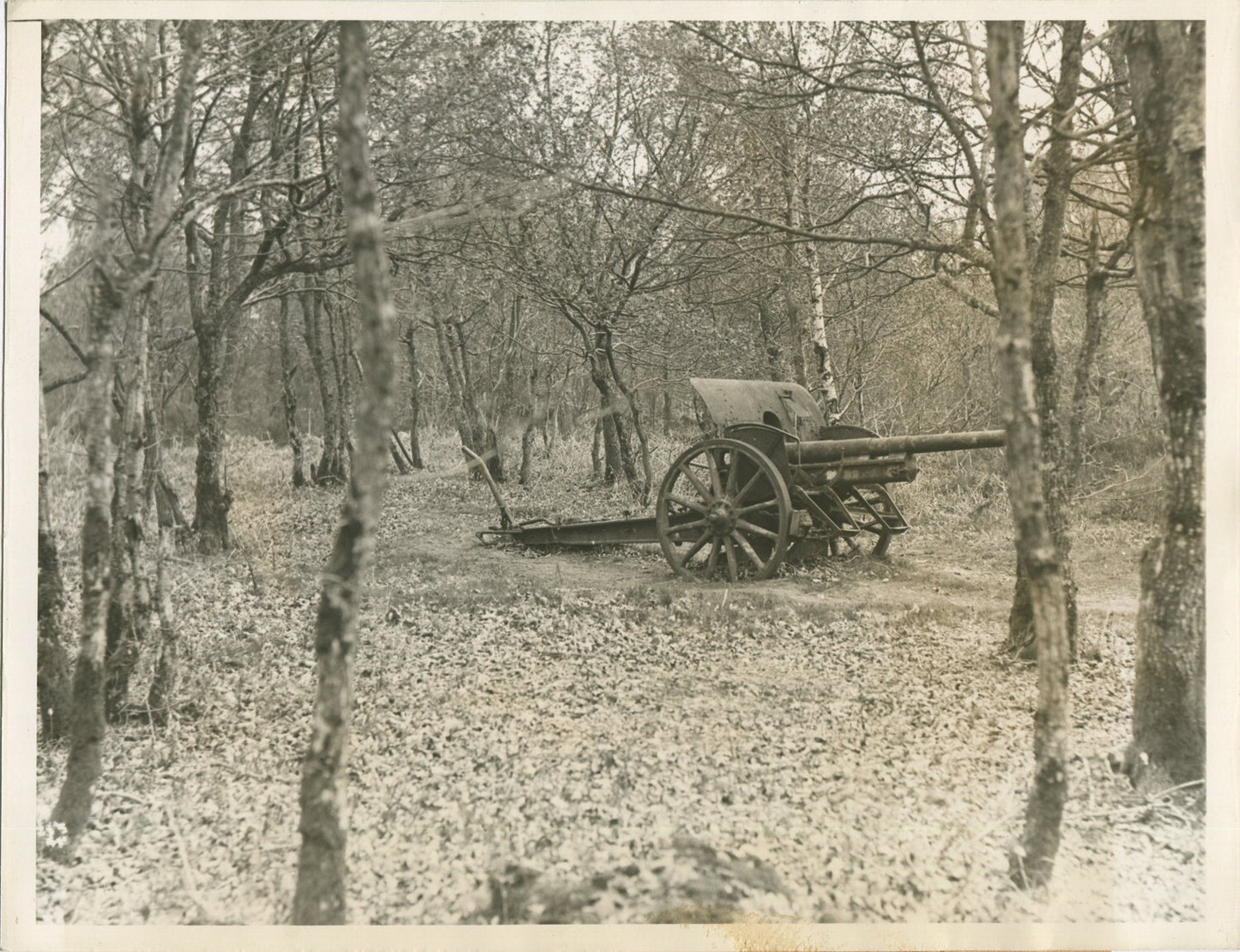 ABANDONED ARTILLERY AFTER AMERICAN BOUNDING. WWII. (8X10 REPRINT)