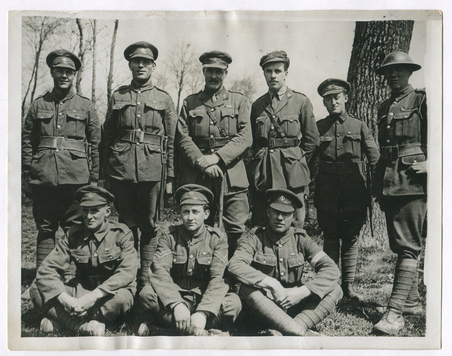Vintage WWI Newfoundland Regiment Photo - Western Front 8x10 Reprint, Canadian Military Wall Art