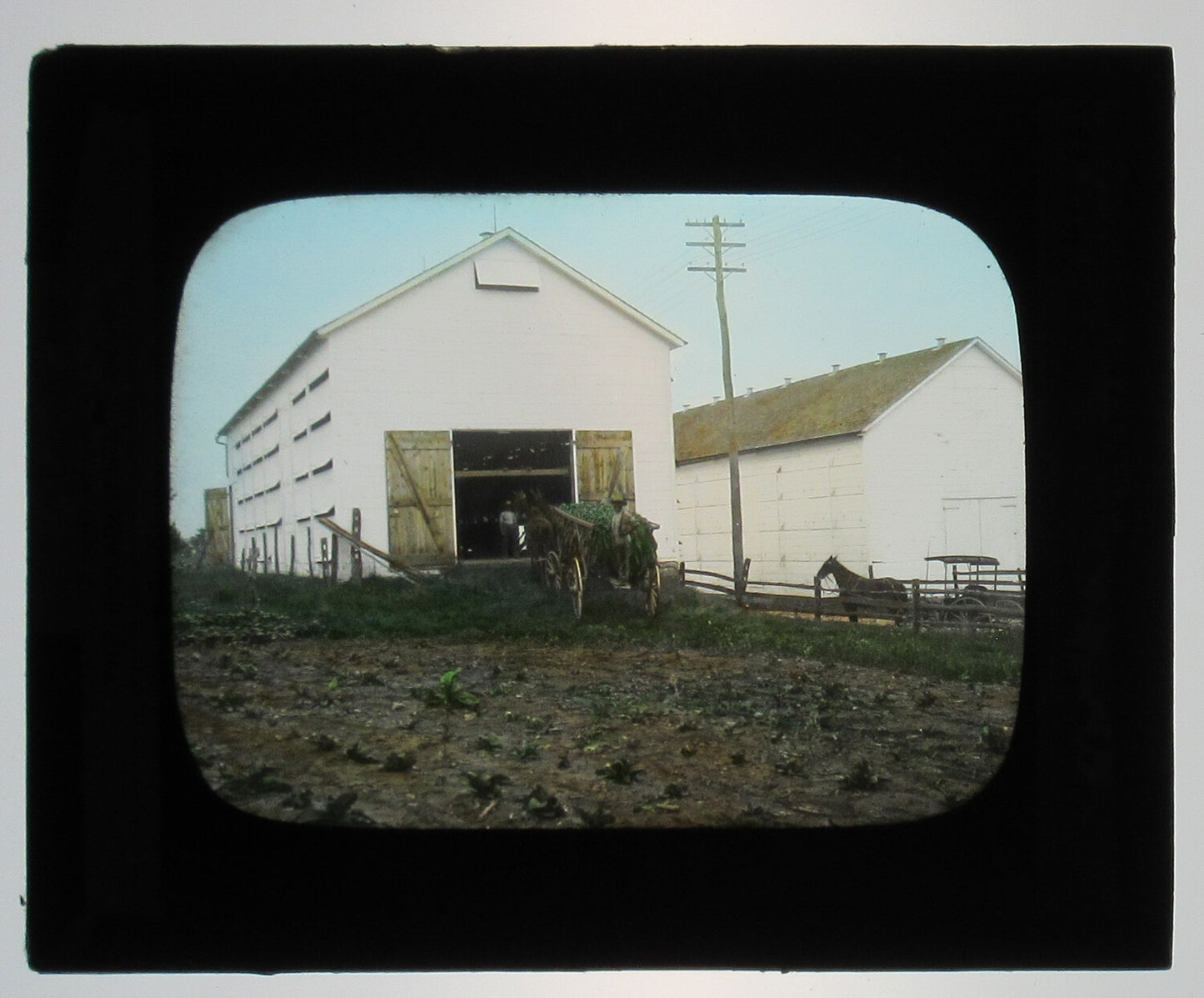 Vintage Tinted Photo on Glass Lantern Slide - Tobacco Drying Barn, Lancaster PA - Hand Colored