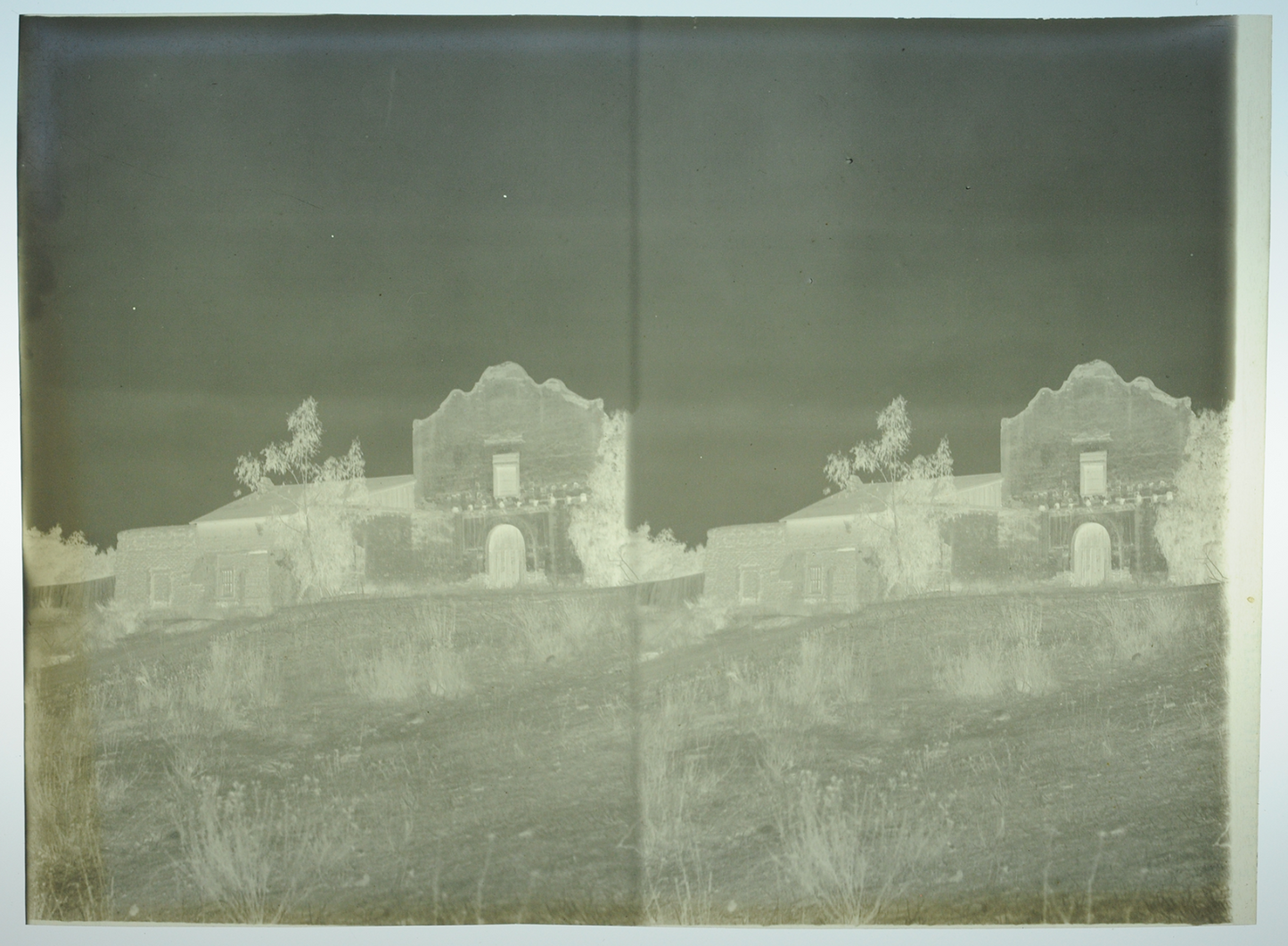 Lot of Five 5x7 Film Negatives Antique, Desert and Cactus, Interior, Stereo