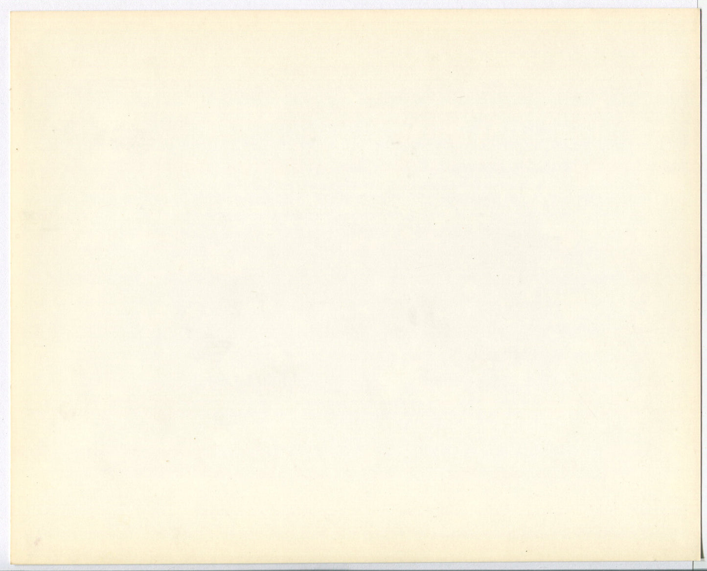 Vintage Black & White 8x10 Photo: Free Concert Series, Point State Park, Pittsburgh, 1970s Crowds in the Park