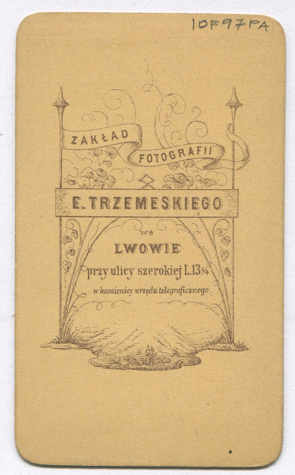 WOMAN, THOUGHTFUL POSE, BIG HAIR, ORNATE DRESS. CDV. EUROPE.