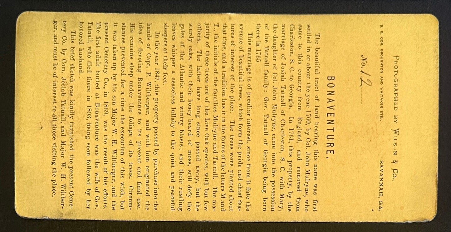 Vintage StereoView Card: ��� Cemetery Bonaventure, Savannah, Georgia��� 3.5x7in